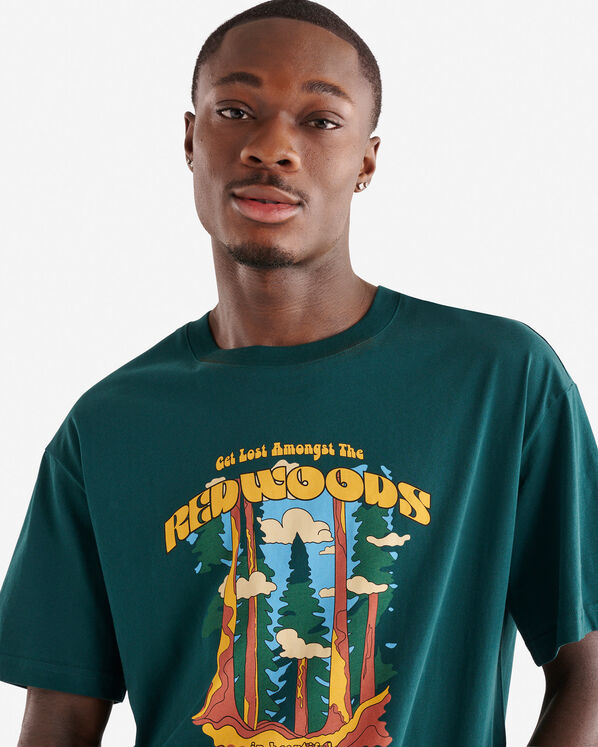 Mens Nature Vistas Relaxed T-Shirt