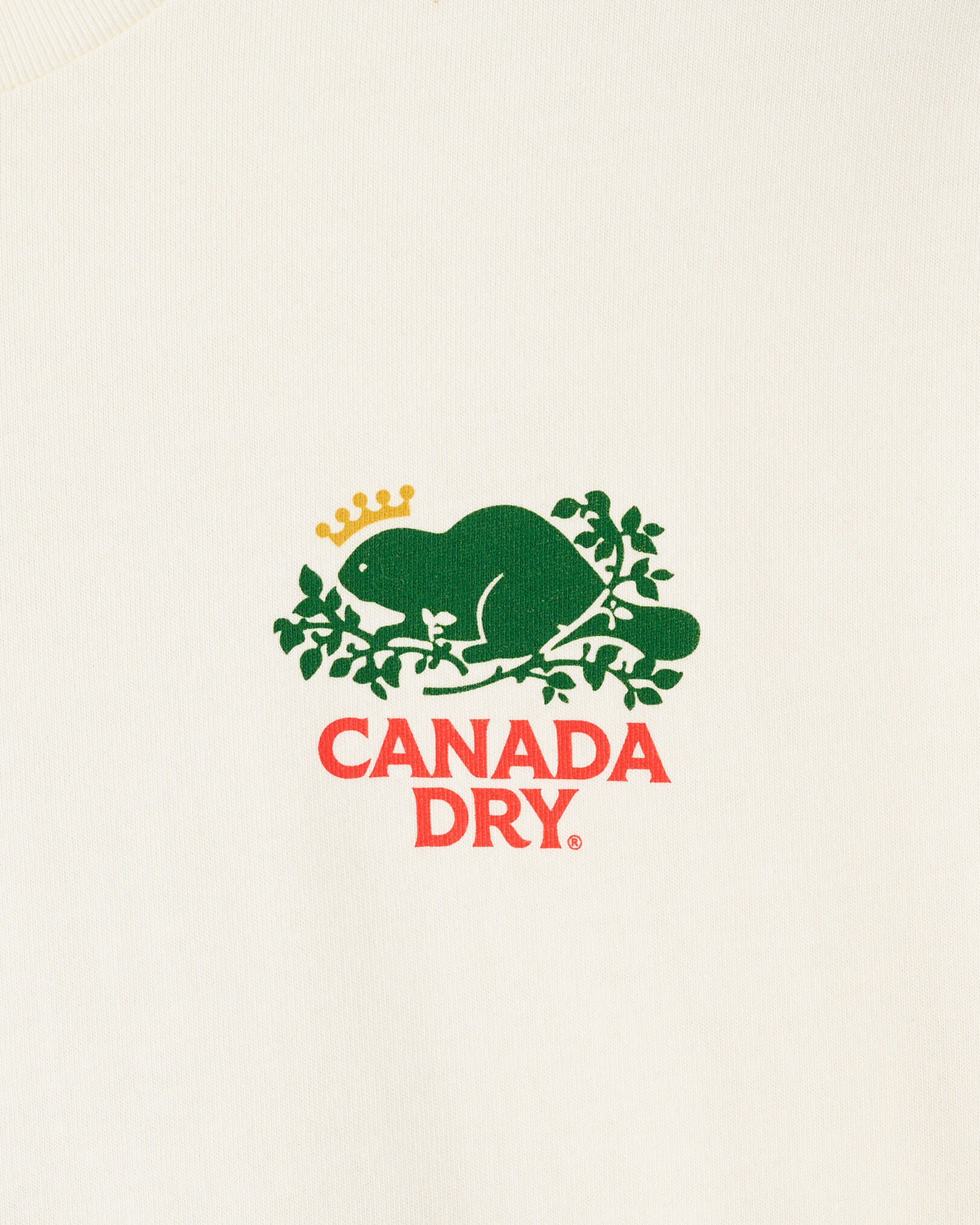 Canada Dry® X Roots T-Shirt