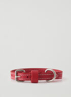 X-Small Dog Collar Cervino