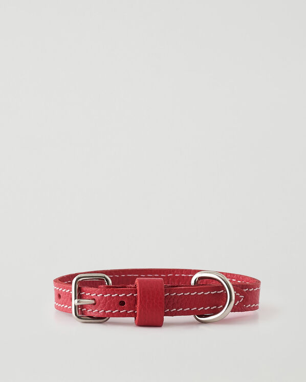 X-Small Dog Collar Cervino