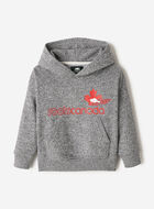 Toddler Northern Athletics Hoodie
