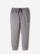 Toddler Boys Active Sweatpant