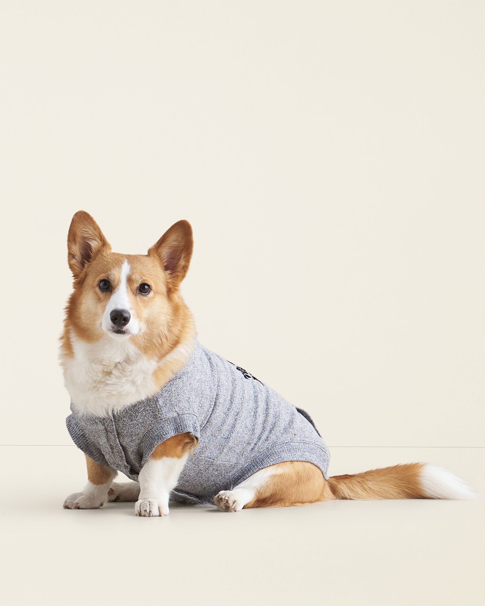 French connection corgi sweater new arrivals
