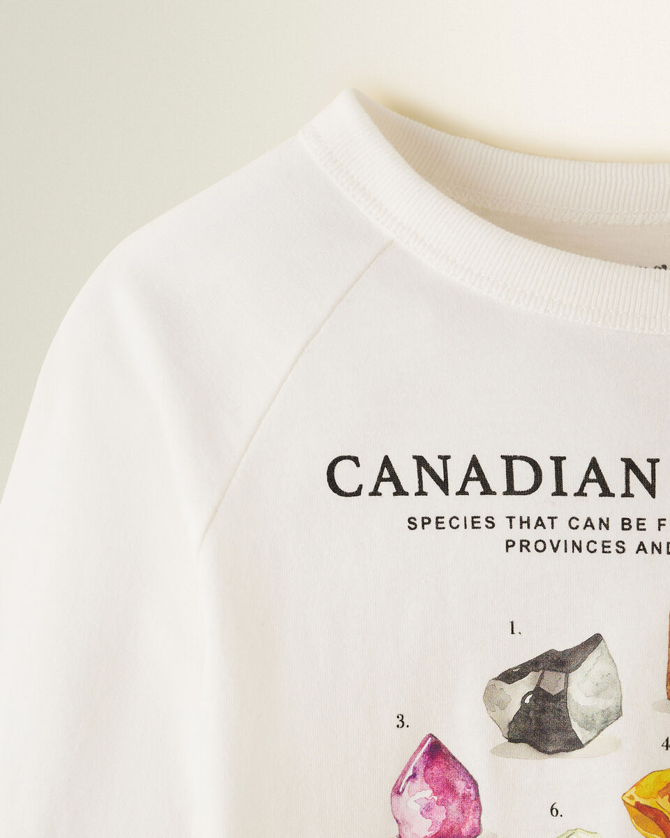 Toddler Mineral Raglan T-Shirt