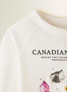 Toddler Mineral Raglan T-Shirt