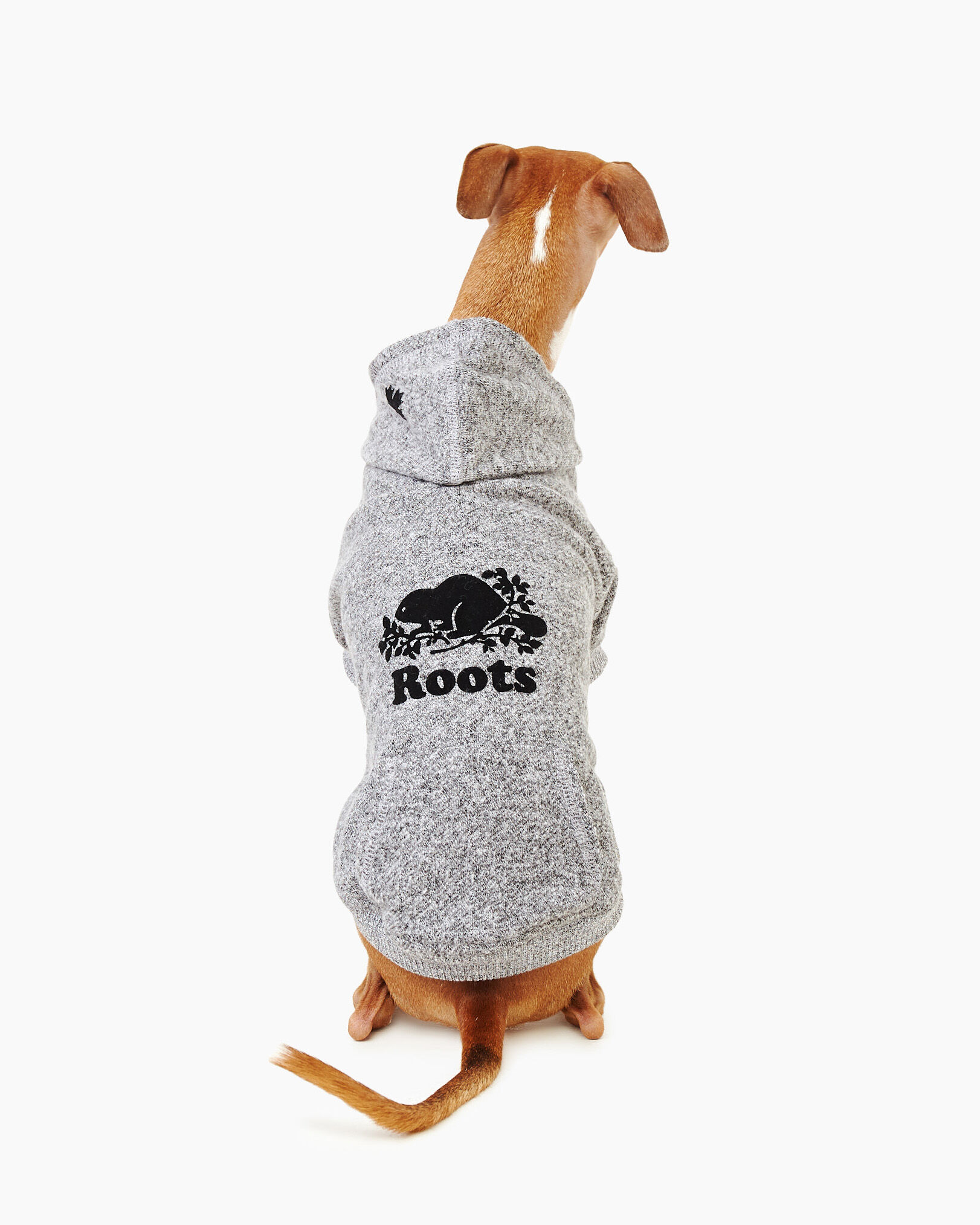 Roots canada dog sweater clearance