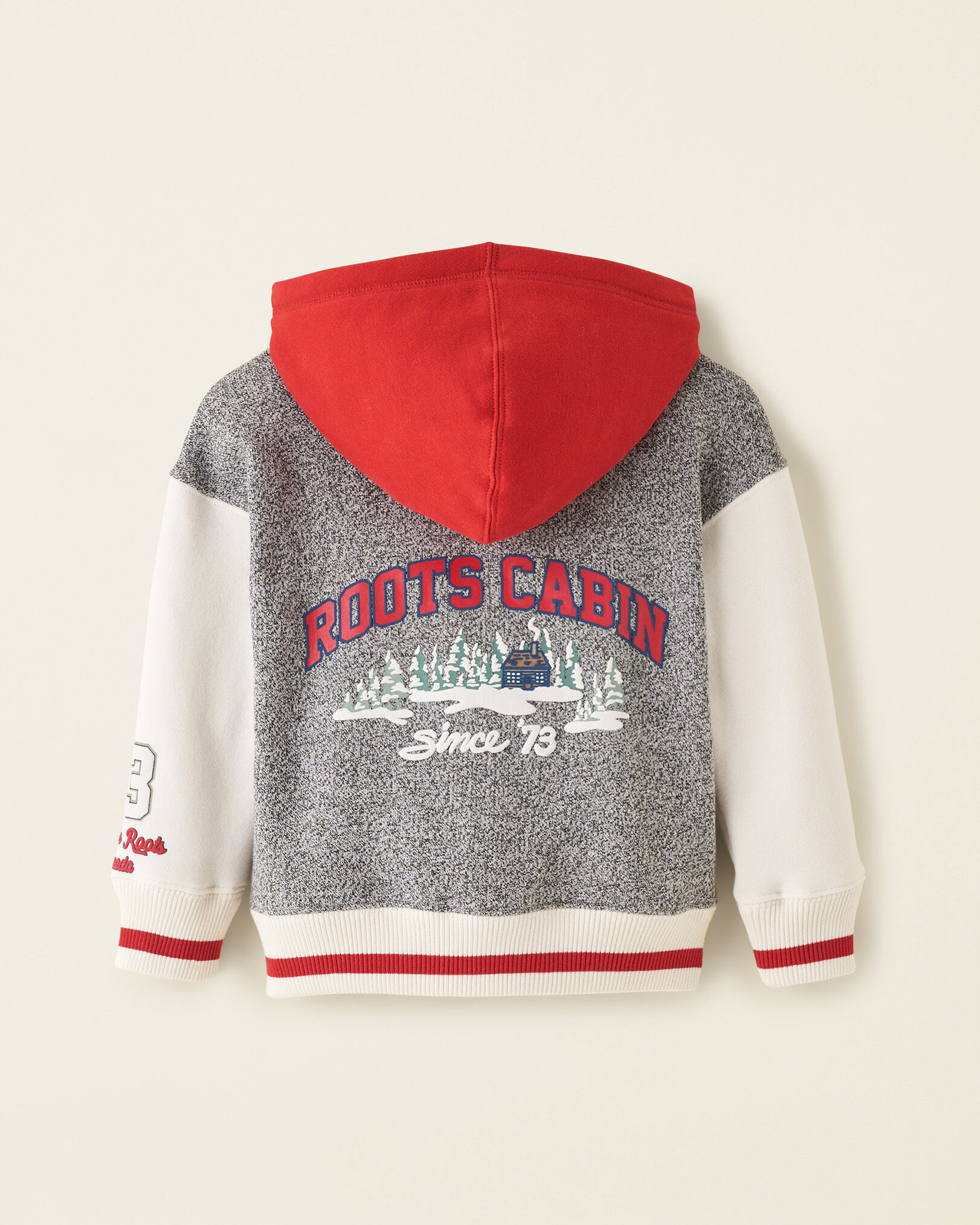 Roots best sale cabin hoody