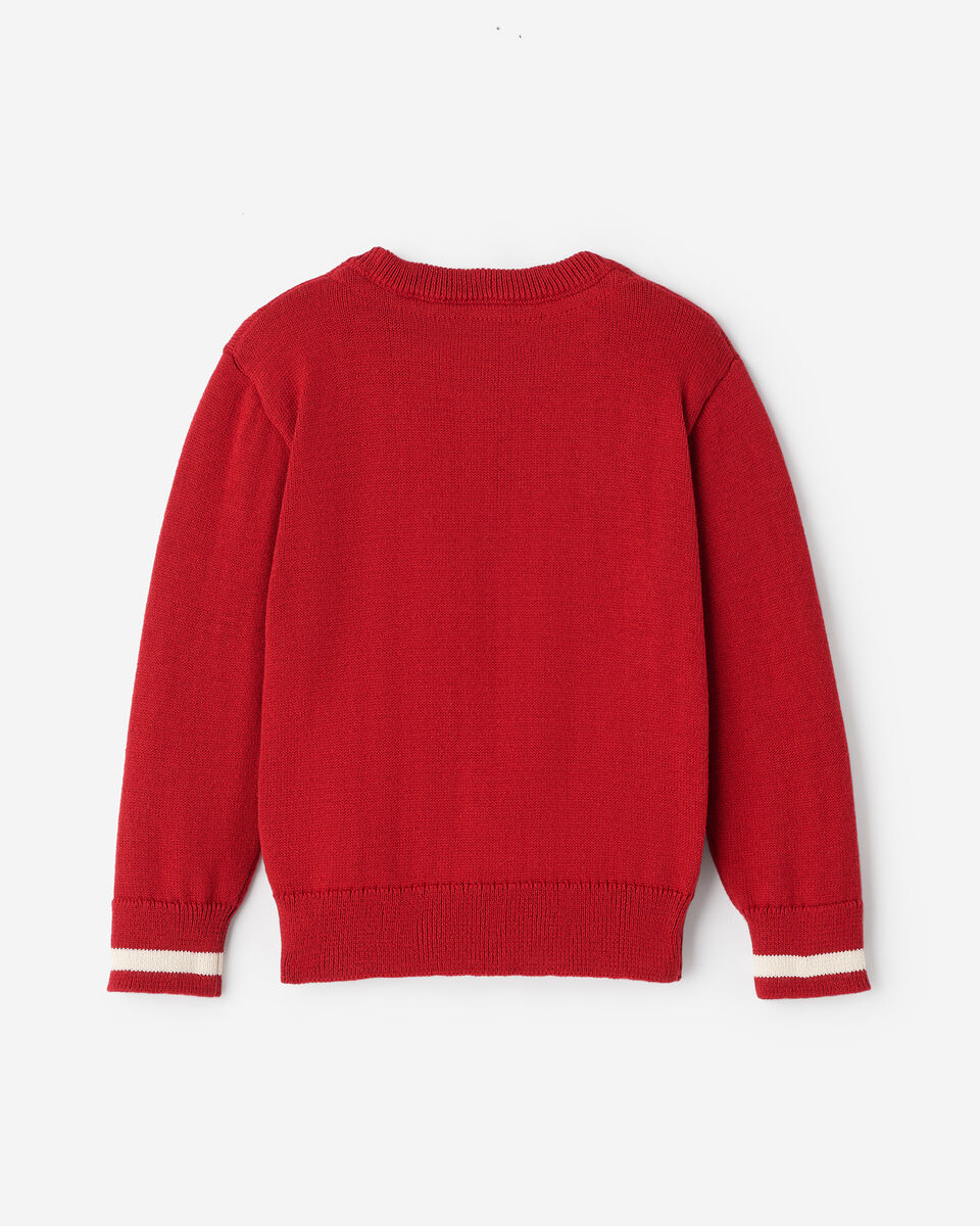 Toddler Cabin Dog Sweater