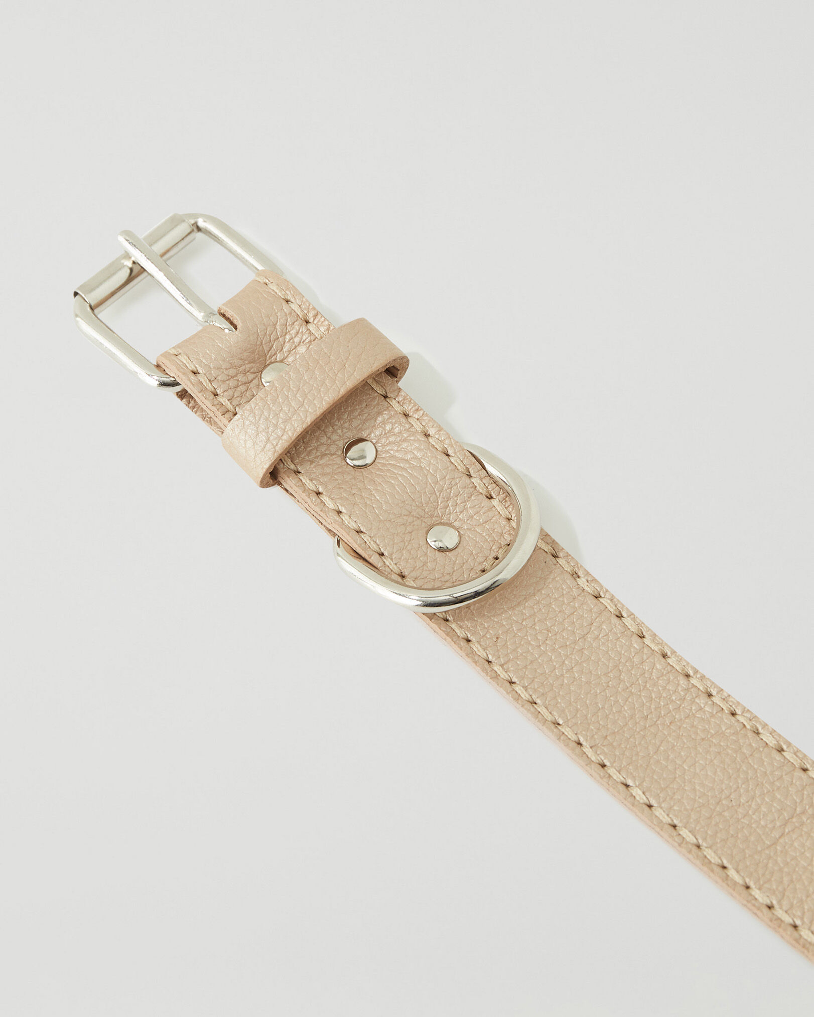 X large Dog Collar Metallic Leather Accessories Roots