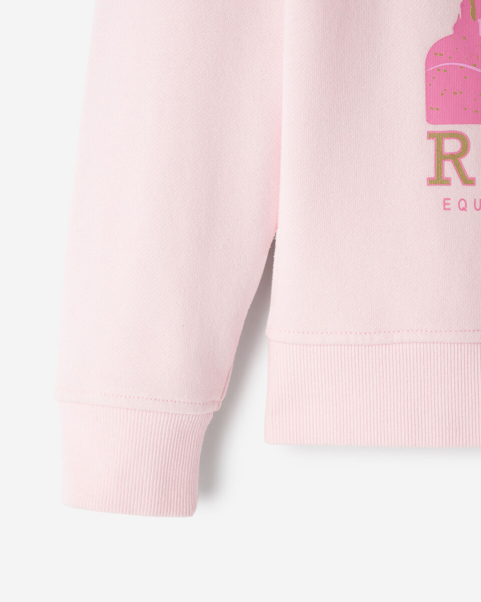 Kids Roots X Wicked Crew Sweatshirt