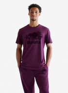 T-shirt Cooper le castor en coton bio pour homme