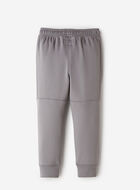 Toddler Boys Active Sweatpant