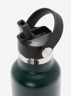 Roots Water Bottle