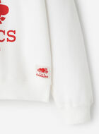 Roots Canada Quarter Zip