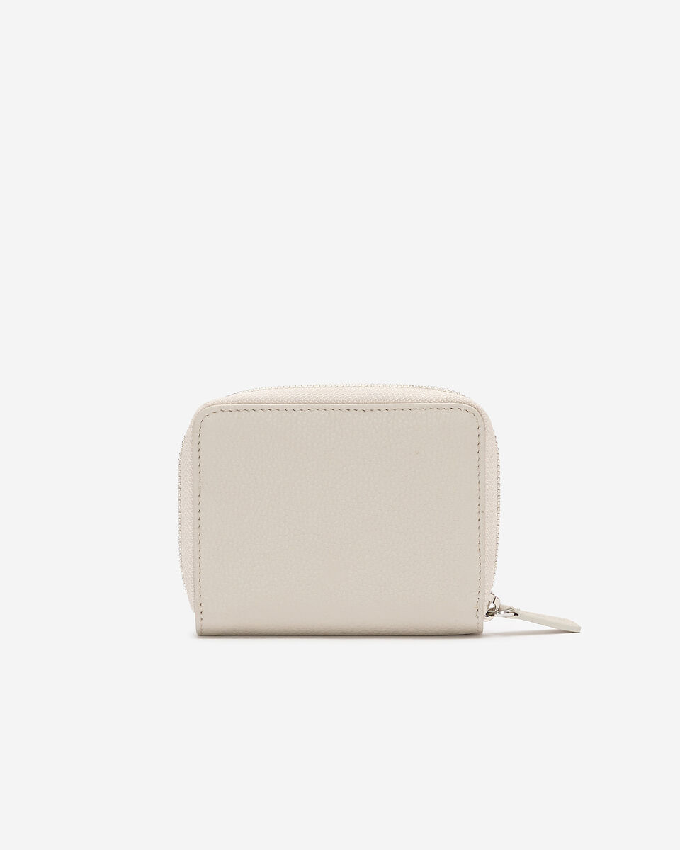 Small Zip Around Clutch Cervino
