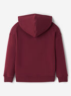 Kids Roots Signature Hoodie