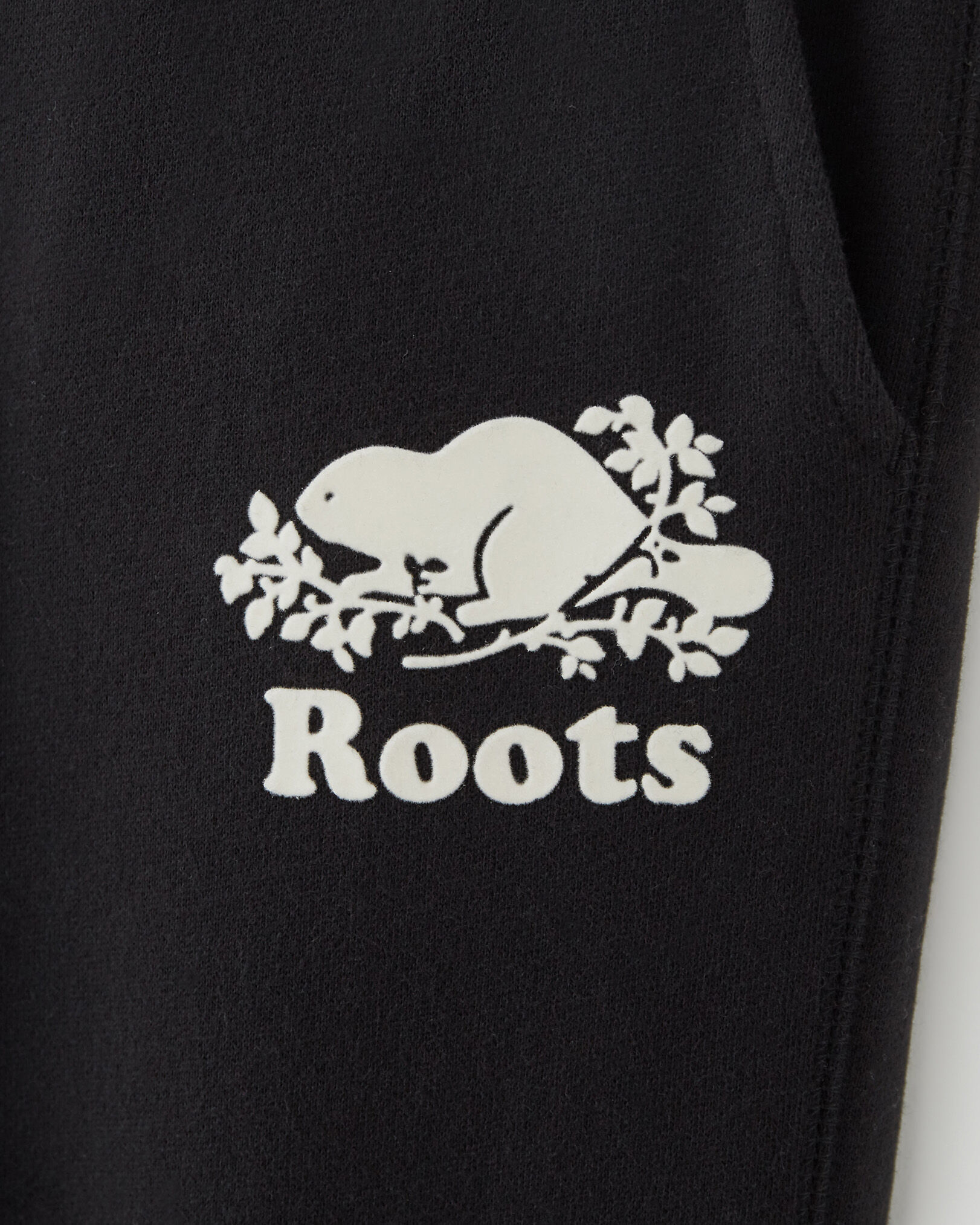 Roots park hot sale slim sweatpant