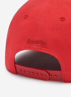 Modern Leaf Baseball Cap