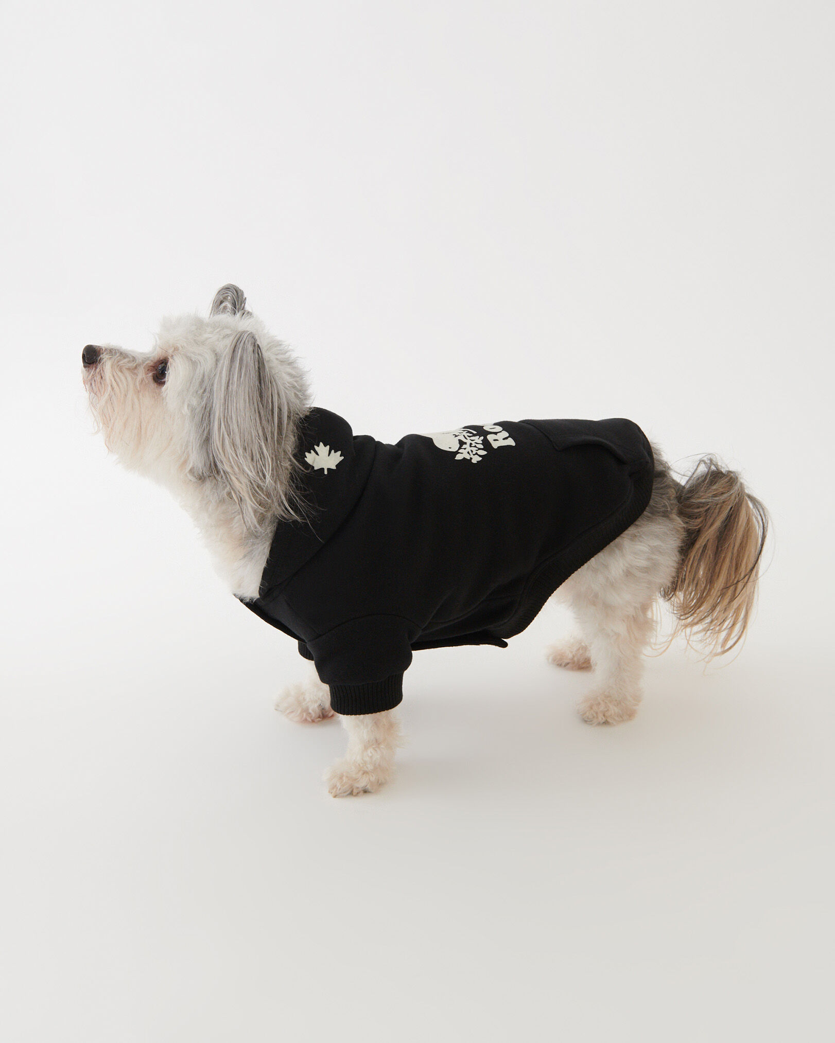 Roots canada store dog sweater