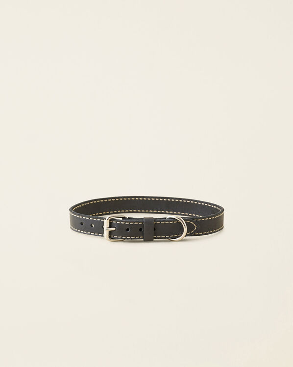 Large Leather Dog Collar