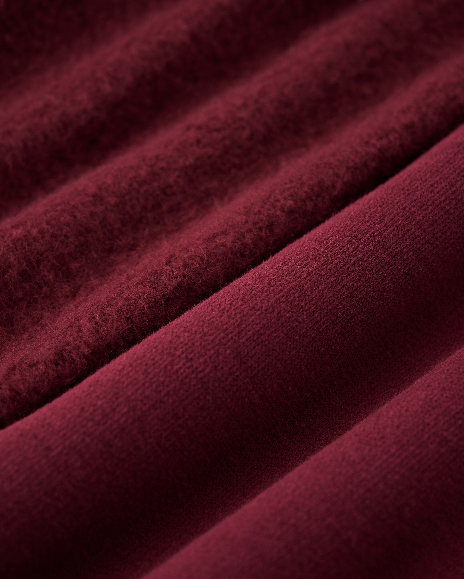 Polo Signature Roots