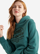 Chandail à capuchon Castor héritage femmes