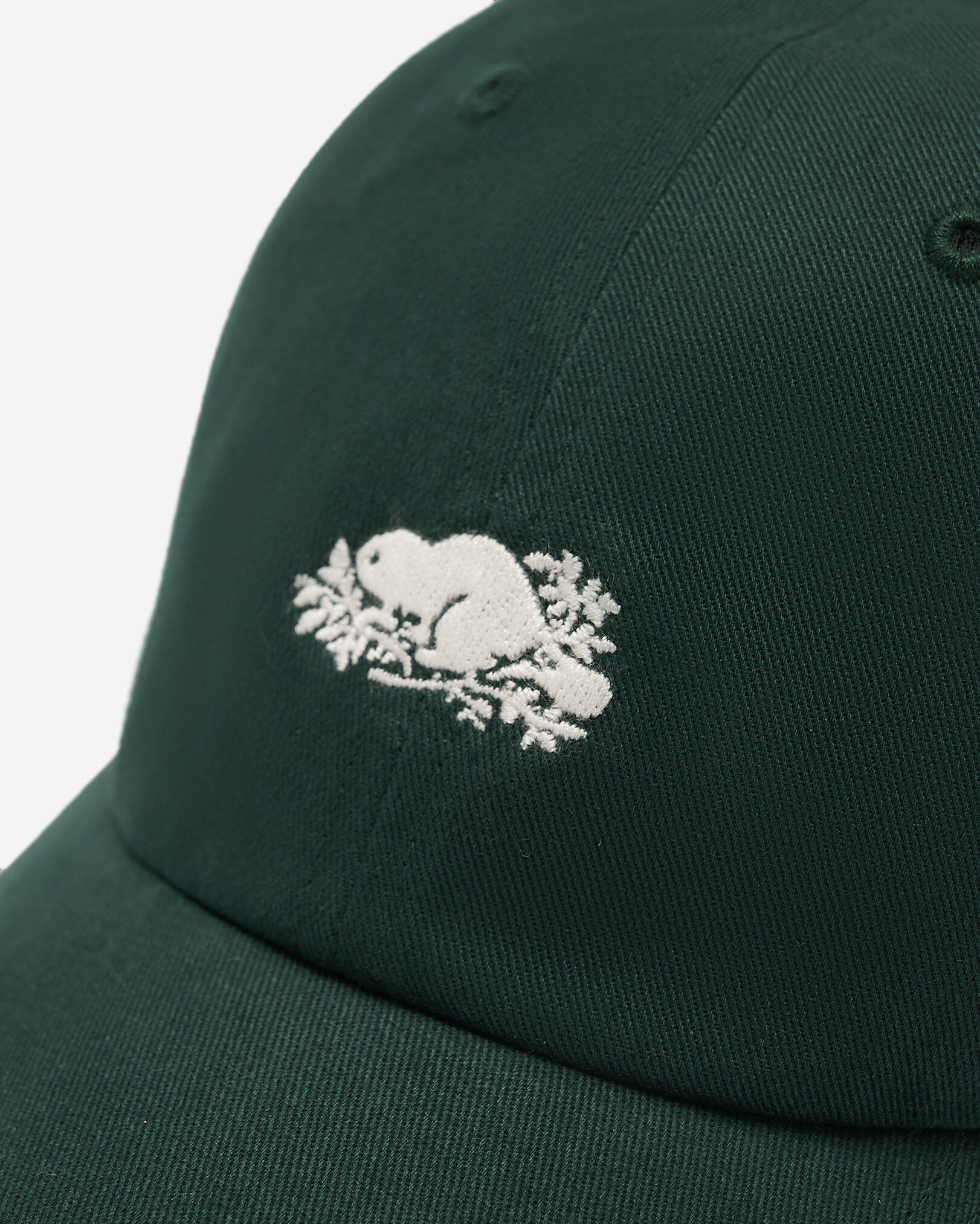 Everyday Cooper Beaver Cap