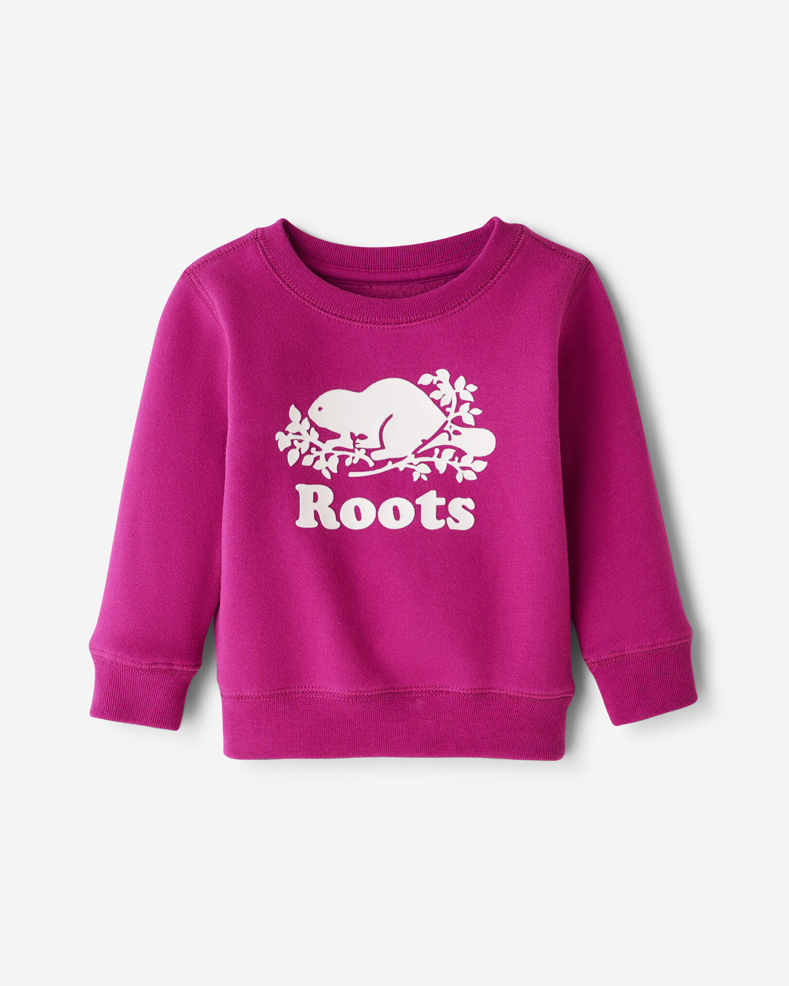Kids Purple Sweatshirts Hoodies Roots