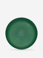 Roots Flying Disc