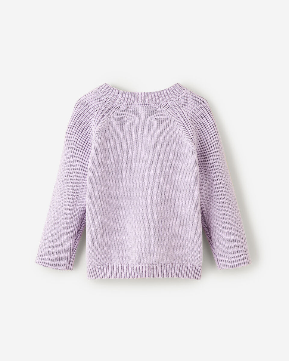 Baby Sweater Knit Crew