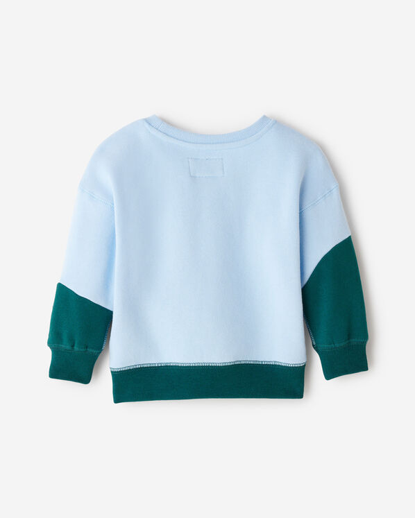 Baby Landscape Crew Sweatshirt