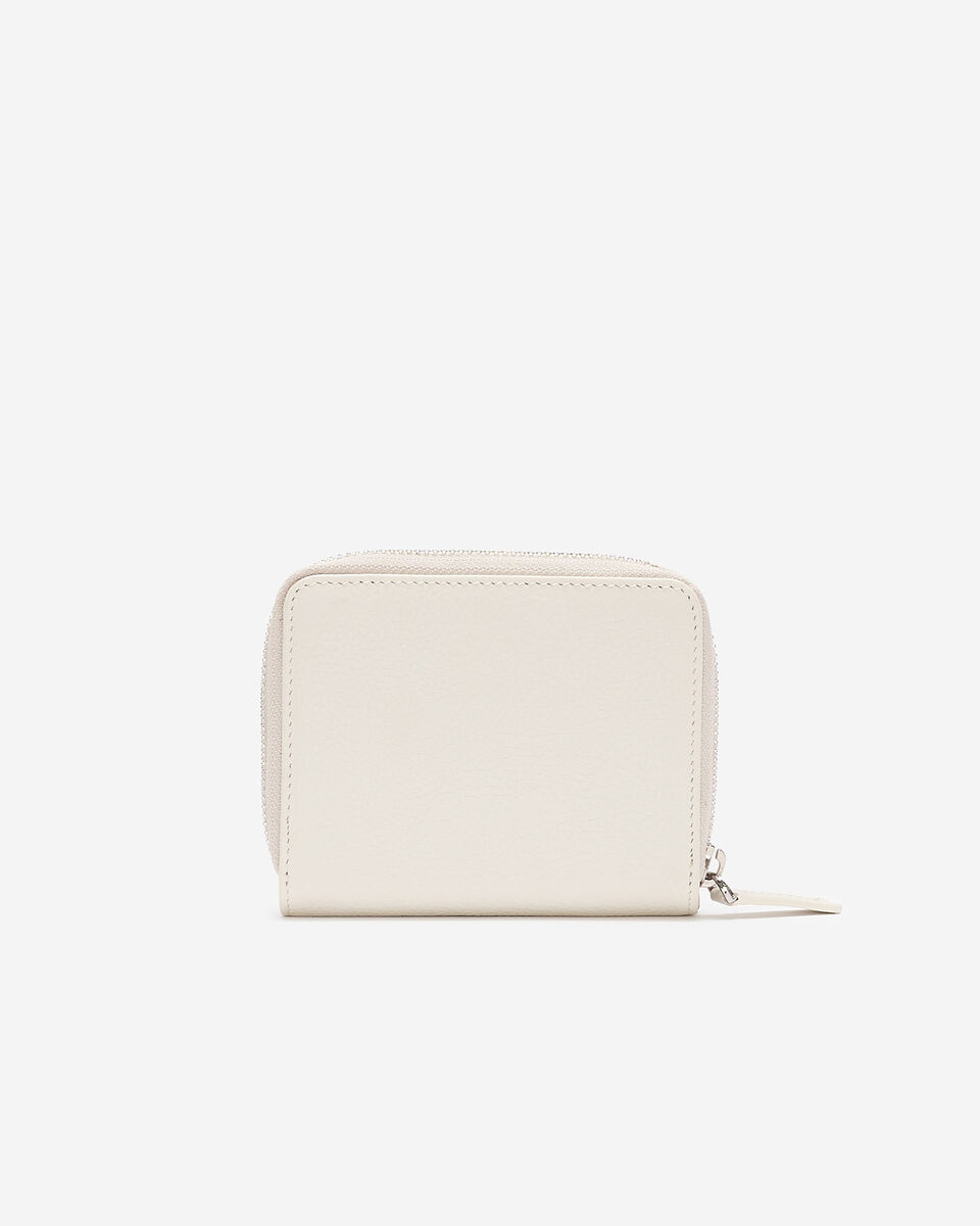 Small Zip Around Clutch Cervino
