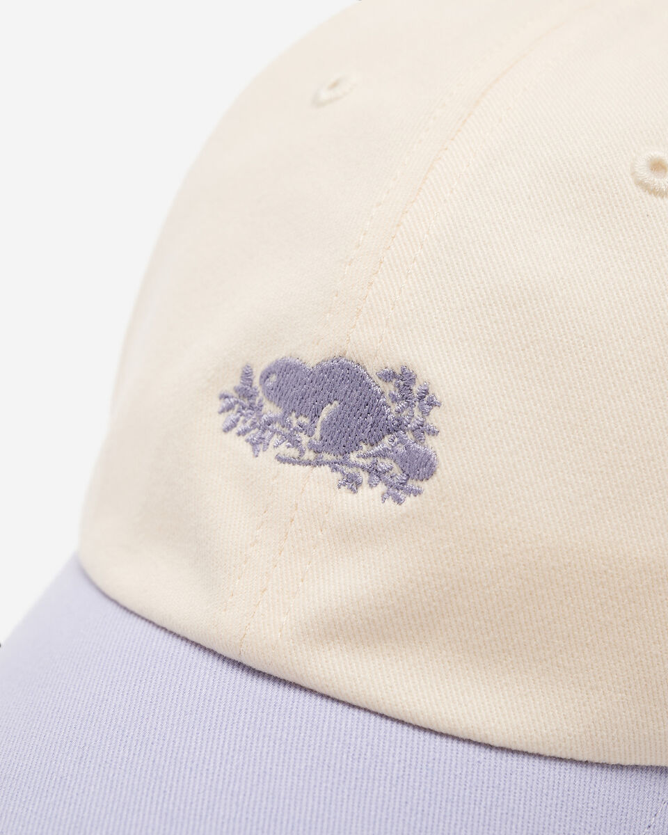 Everyday Cooper Beaver Cap