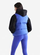 Roots Down Puffer Vest