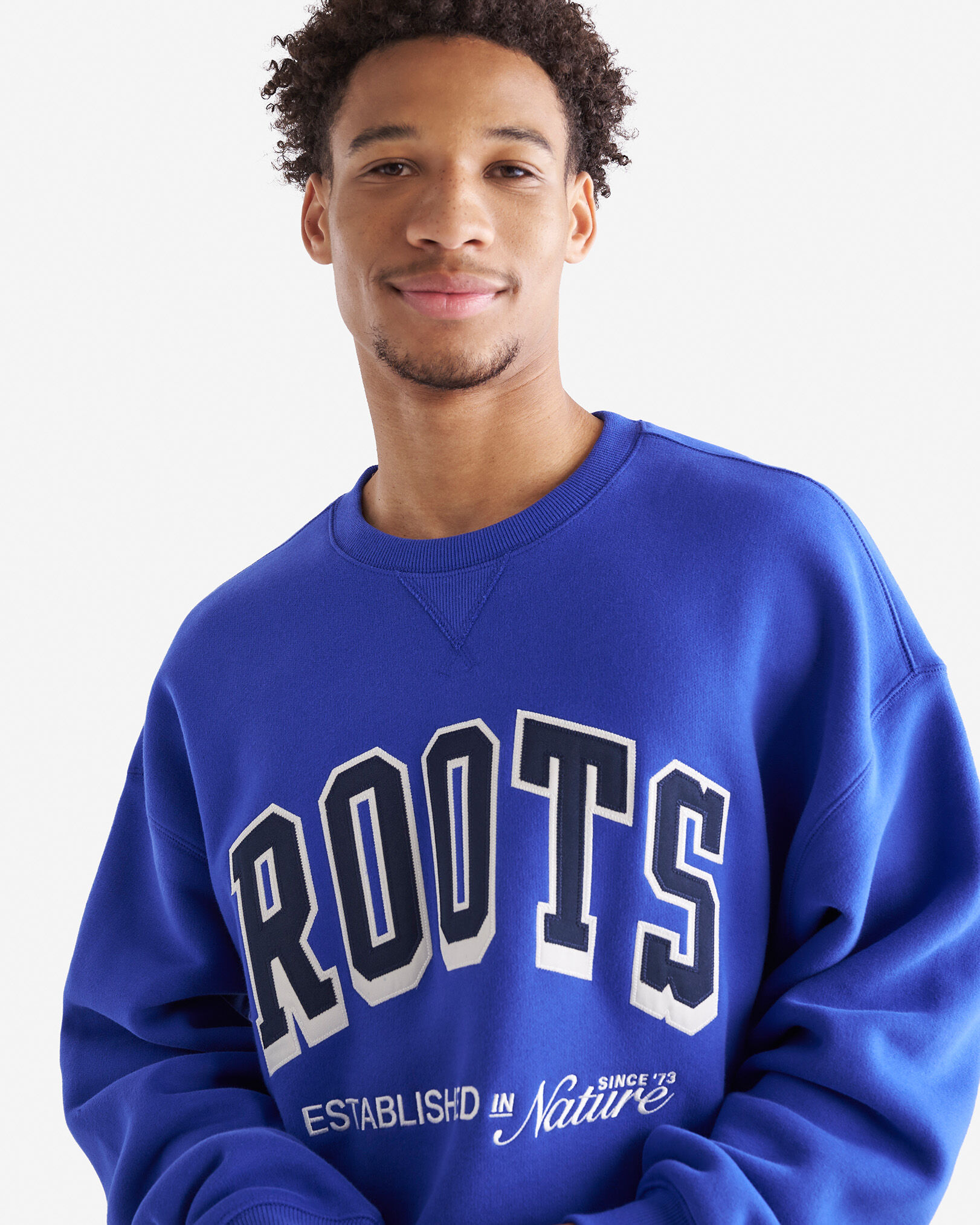 Blue roots sweater hot sale