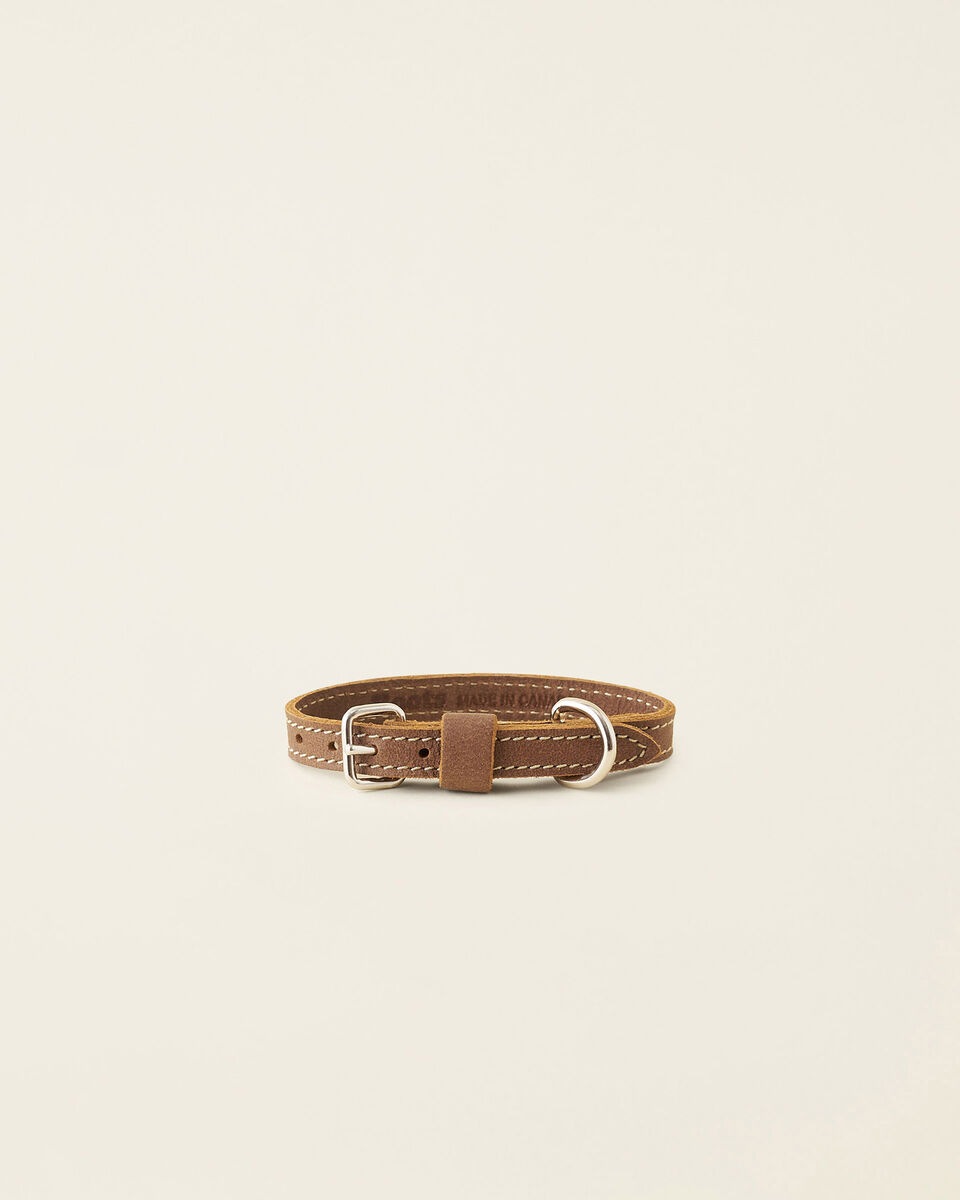 Extra Small Leather Dog Collar