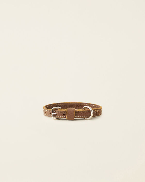 Extra Small Leather Dog Collar