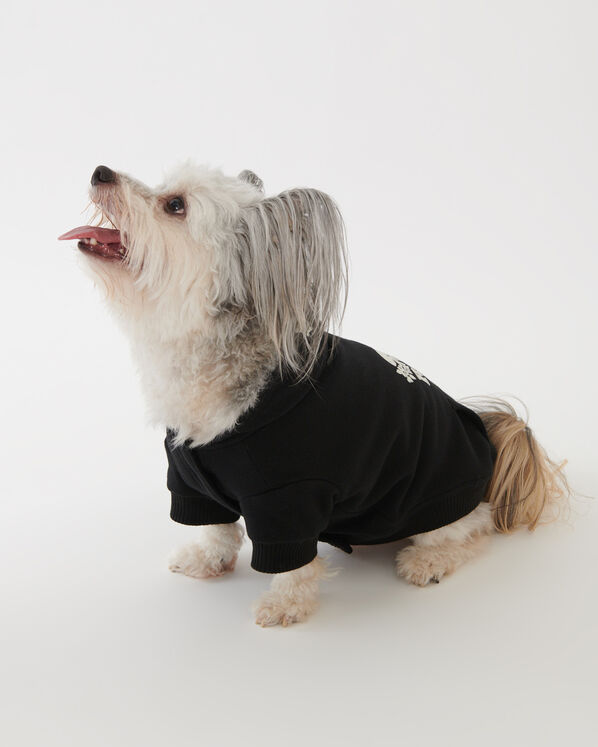 Veste kangourou originale Pooch