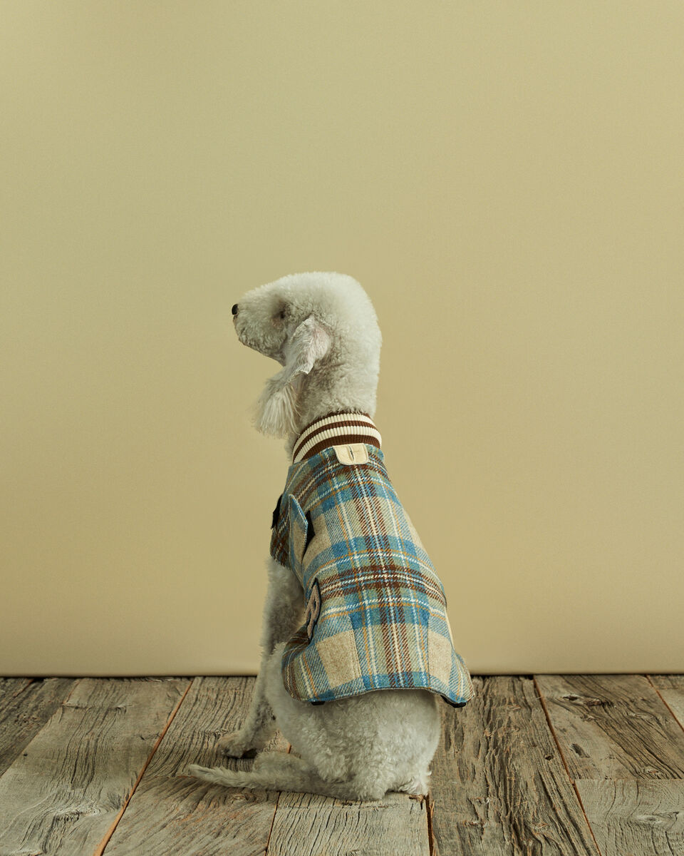 S Moon Plaid Dog Jacket Leather Accessories Roots