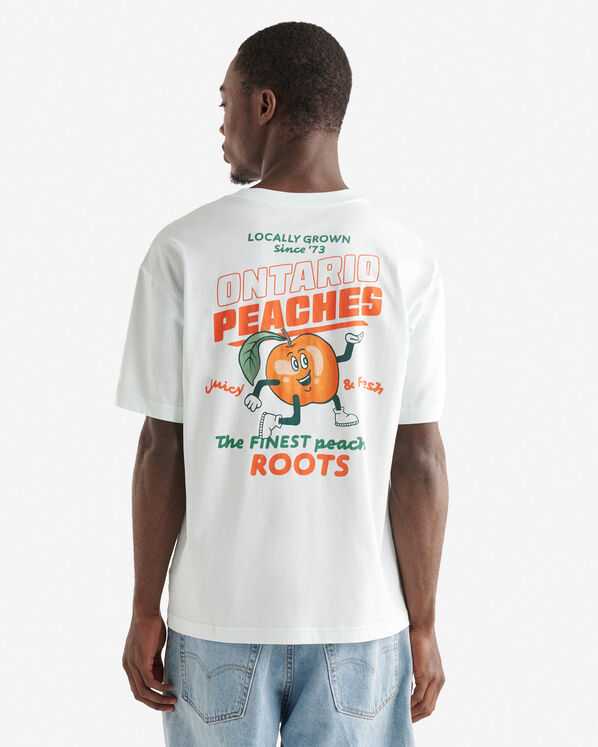 T-shirt Fruits