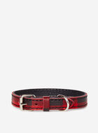 X-Small Dog Collar Park Plaid