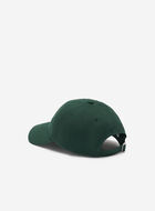 Roots Baseball Cap