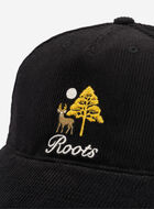 Trailhead Baseball Cap