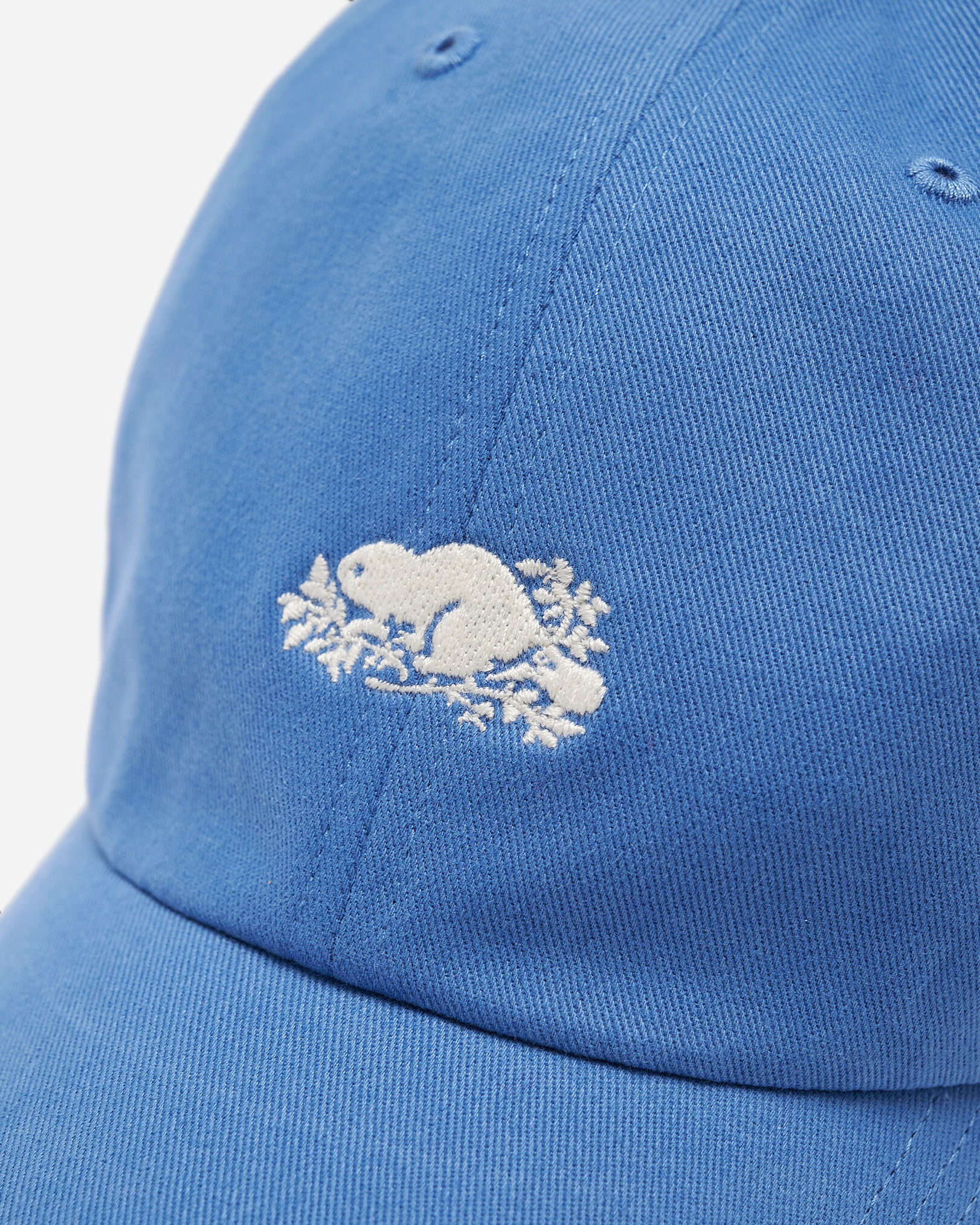 Everyday Cooper Beaver Cap