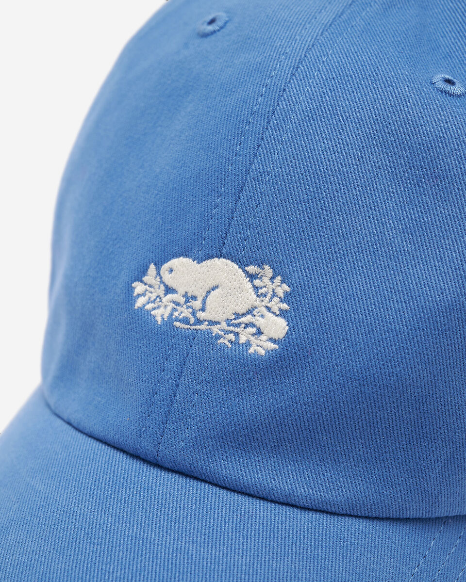 Everyday Cooper Beaver Cap