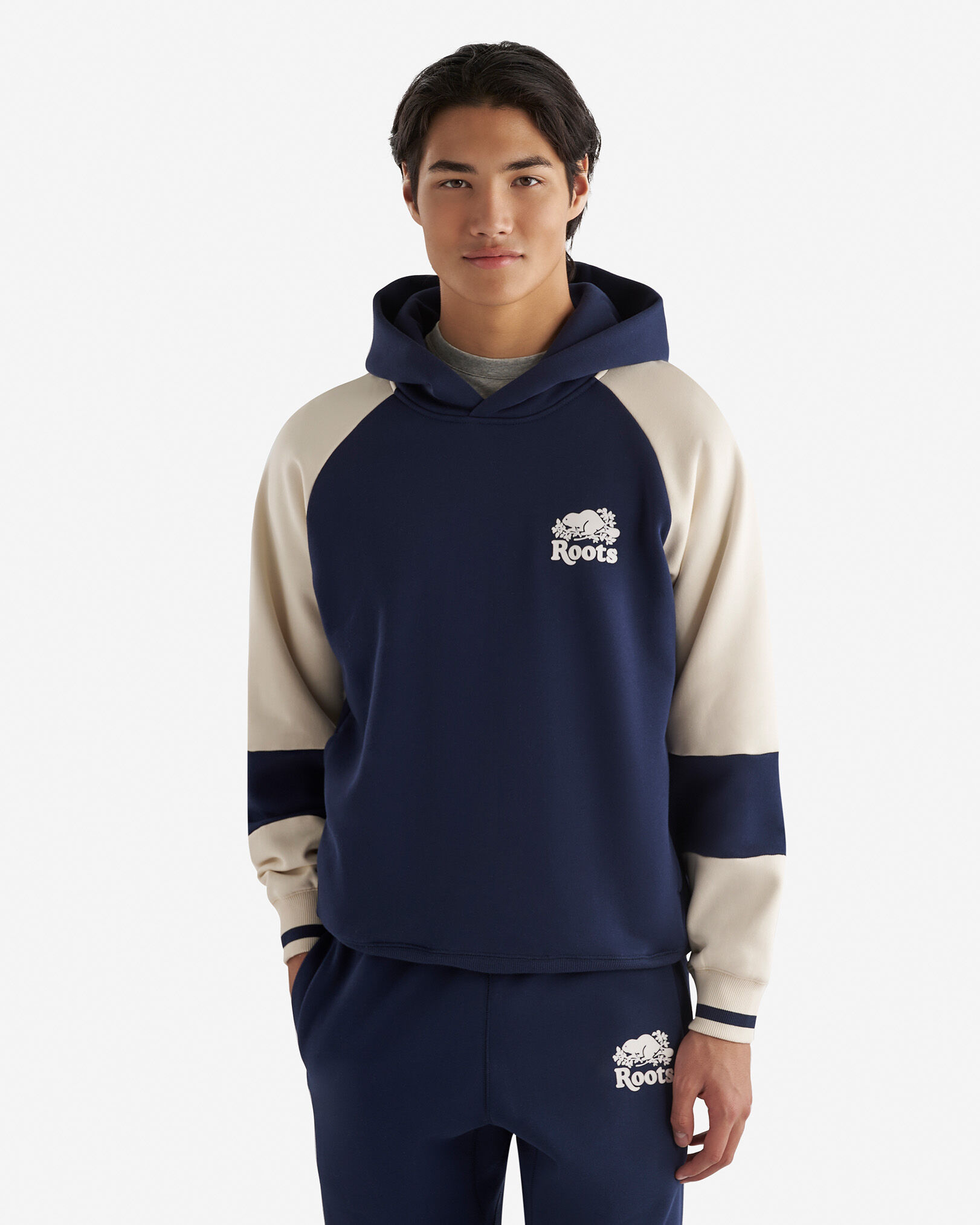 Roots cabin hoodie 2025