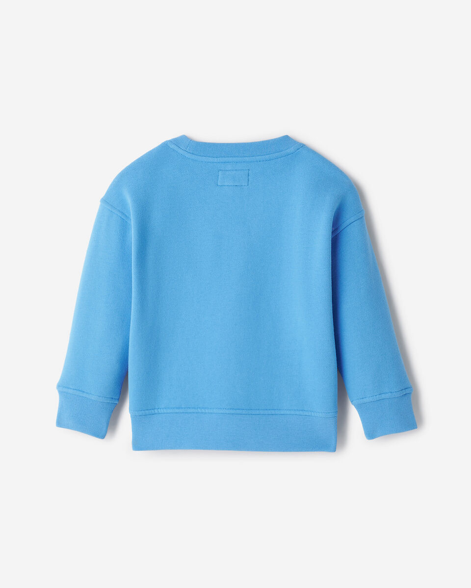 Toddler Alpine Landscape Crew Sweatshirt