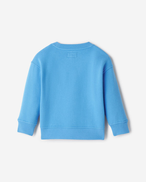 Toddler Alpine Landscape Crew Sweatshirt