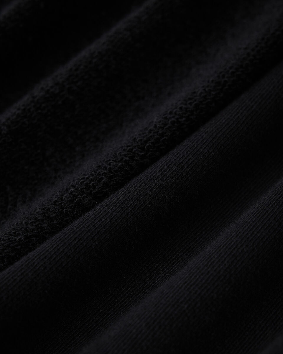 Chandail &agrave; capuchon Michigan Roots