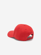 Modern Leaf Baseball Cap